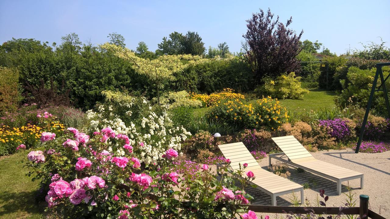 La Collina Since 2008 No Smoking B&B 바레세 외부 사진