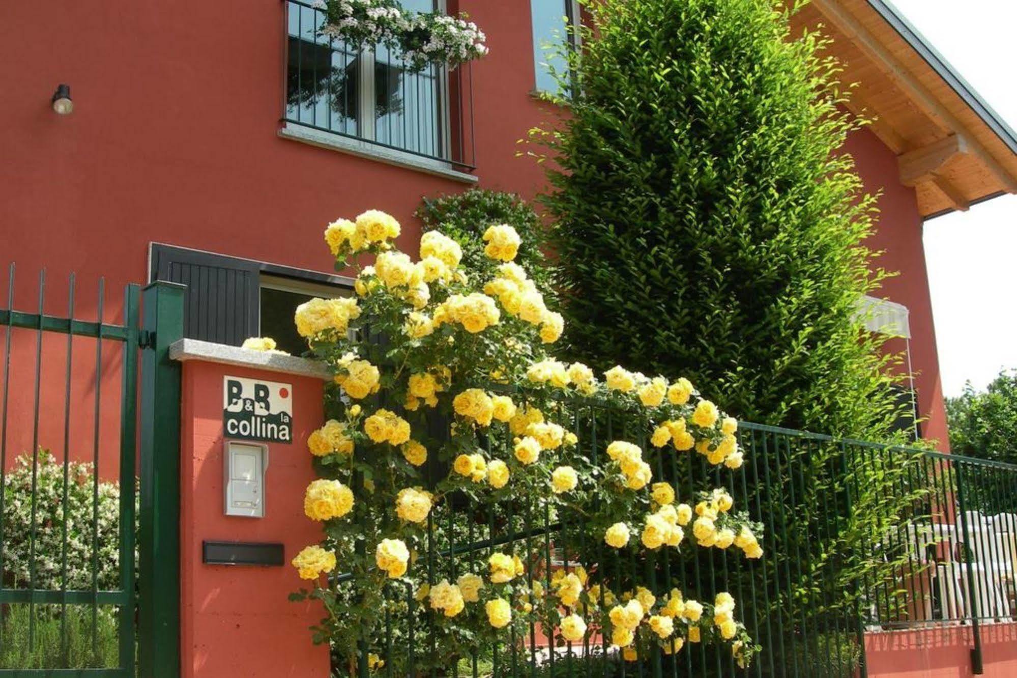 La Collina Since 2008 No Smoking B&B 바레세 외부 사진